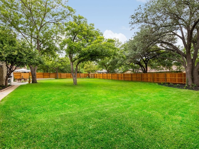 2300 Toulouse Dr, Austin, TX 78748 - view of yard
