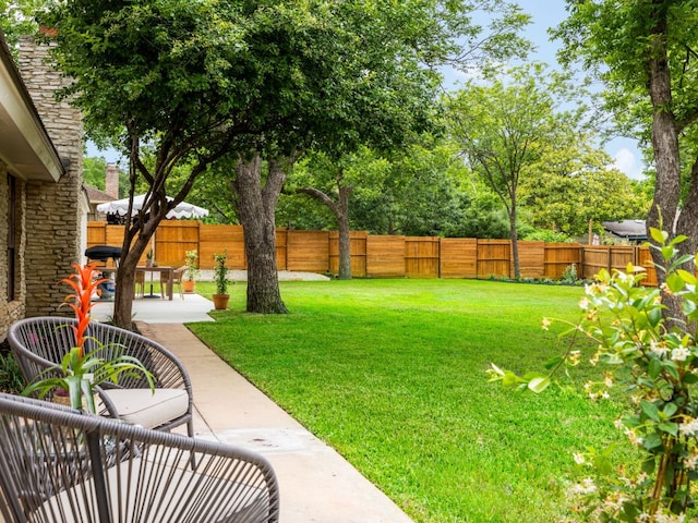 view of yard with a patio