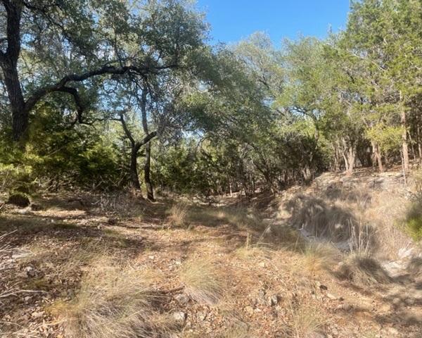 934 Beauchamp Rd, Dripping Springs, TX 78620 - photo 10