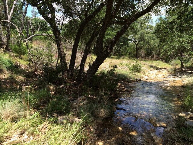 934 Beauchamp Rd, Dripping Springs, TX 78620 - photo 1