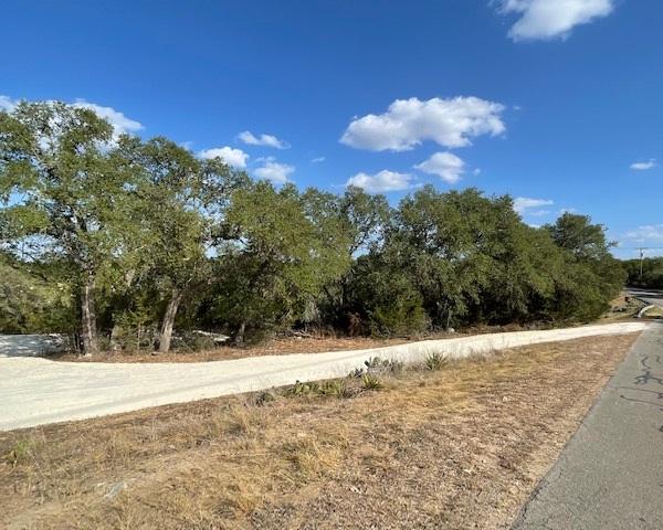 934 Beauchamp Rd, Dripping Springs, TX 78620 - photo 11