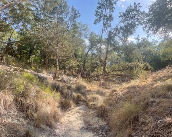 934 Beauchamp Rd, Dripping Springs, TX 78620 - photo 12