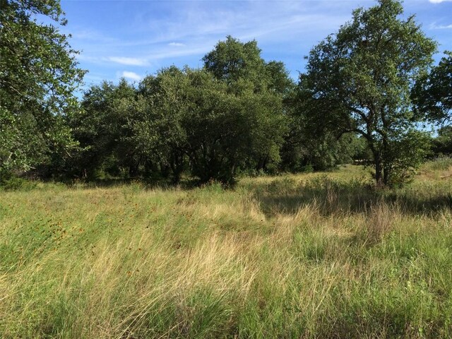 934 Beauchamp Rd, Dripping Springs, TX 78620 - photo 14