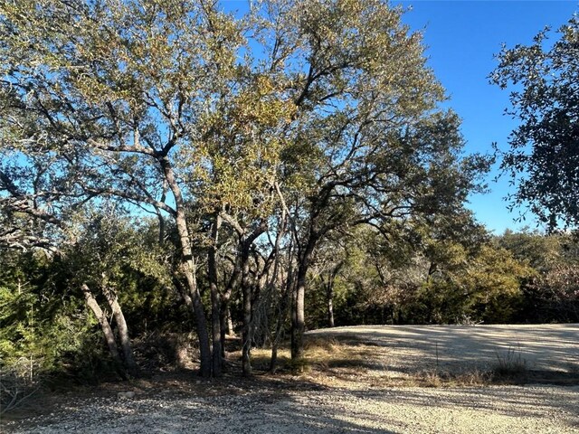 934 Beauchamp Rd, Dripping Springs, TX 78620 - photo 15