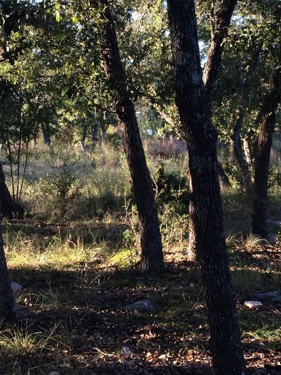 934 Beauchamp Rd, Dripping Springs, TX 78620 - photo 18