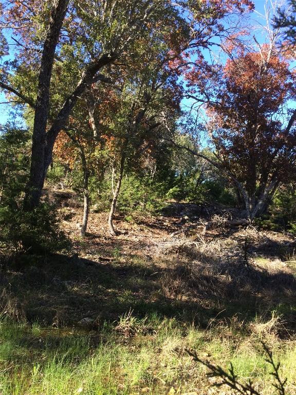 934 Beauchamp Rd, Dripping Springs, TX 78620 - photo 23