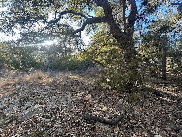 934 Beauchamp Rd, Dripping Springs, TX 78620 - photo 2