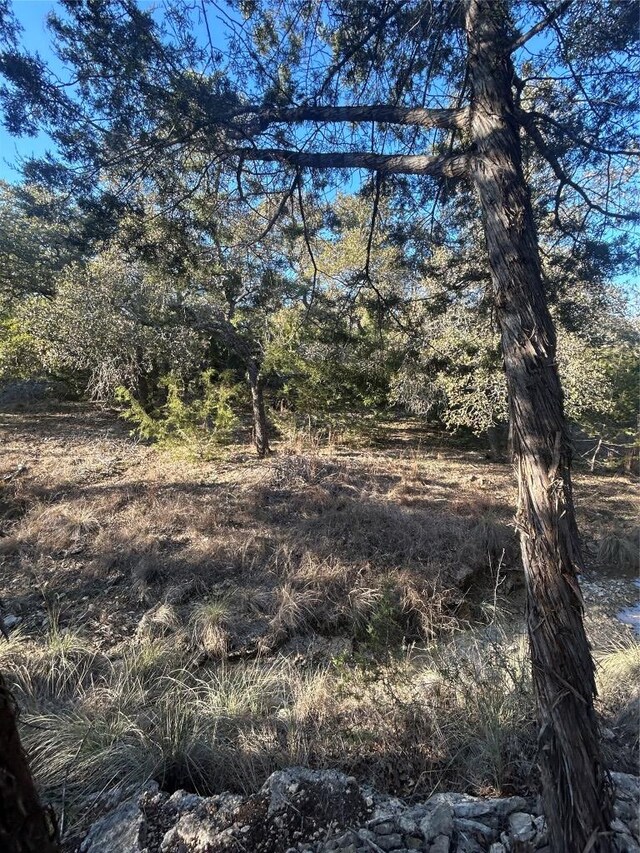 934 Beauchamp Rd, Dripping Springs, TX 78620 - photo 25
