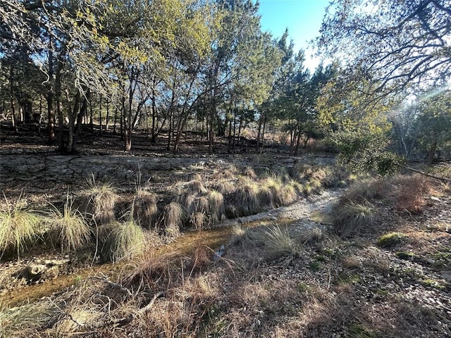 934 Beauchamp Rd, Dripping Springs, TX 78620 - photo 29
