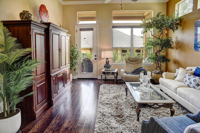 15208 Origins Ln, Austin, TX 78734 - living room with dark wood-style floors, ornamental molding, and baseboards