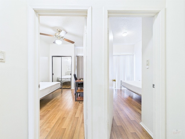 2905 Swisher St Unit 205, Austin, TX 78705 - corridor with light wood finished floors and a textured ceiling