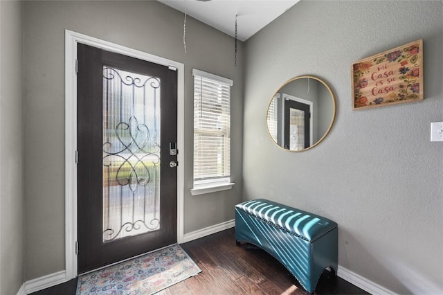160 Thornless Cir, Buda, TX 78610 - foyer with wood finished floors, plenty of natural light, and baseboards