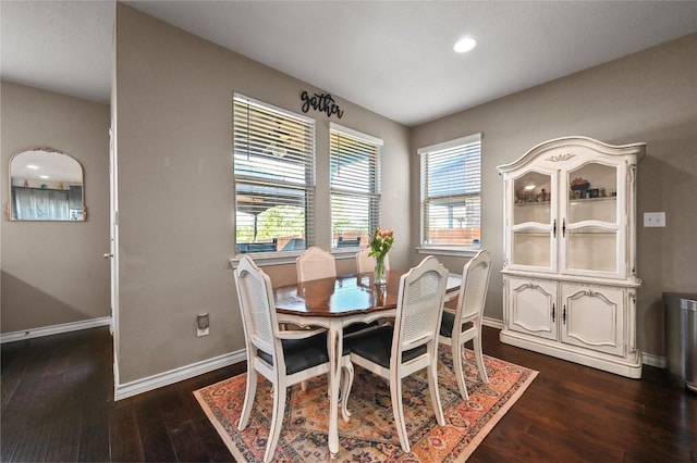 160 Thornless Cir, Buda, TX 78610 - dining room featuring dark wood-style flooring, plenty of natural light, baseboards, and recessed lighting