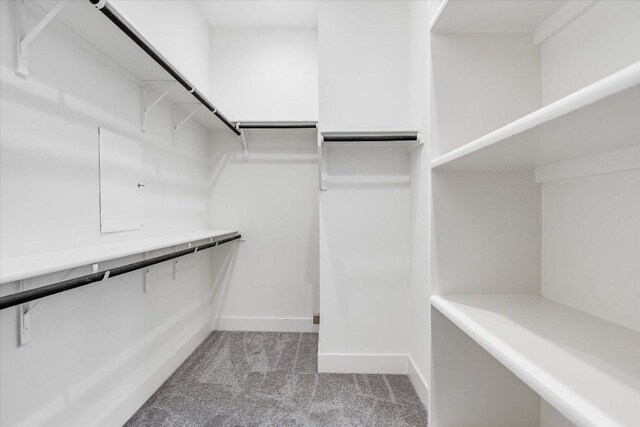 301 Jeffrey David Ln W, Austin, TX 78717 - walk in closet with light carpet