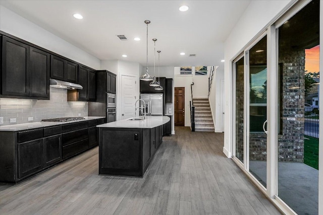 kitchen featuring dark cabinetry, stainless steel appliances, under cabinet range hood, light wood-type flooring, and a sink