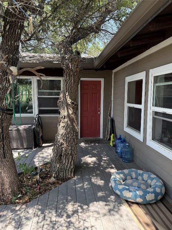 24221 Pedernales Cliff Trl, Spicewood, TX 78669 - photo 4