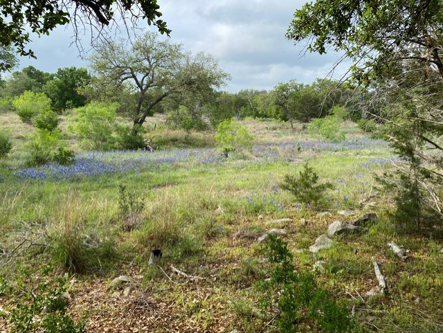 1365 Pedernales Hills Rd, Johnson City, TX 78636 - photo 1