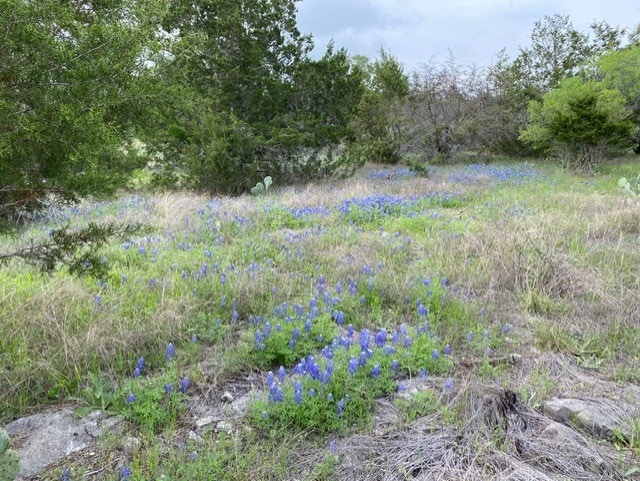1365 Pedernales Hills Rd, Johnson City, TX 78636 - photo 2