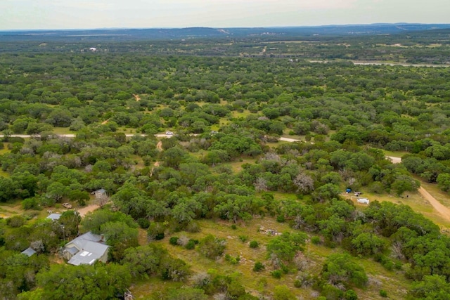 1365 Pedernales Hills Rd, Johnson City, TX 78636 - photo 17