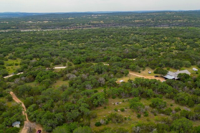 1365 Pedernales Hills Rd, Johnson City, TX 78636 - photo 18
