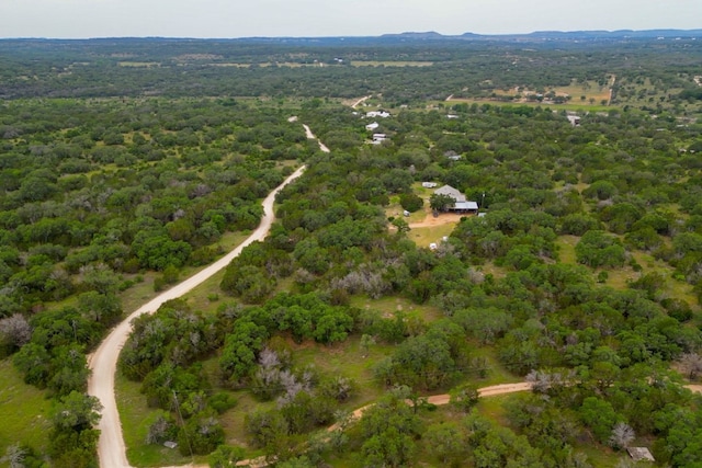 1365 Pedernales Hills Rd, Johnson City, TX 78636 - photo 19