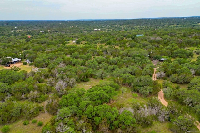 1365 Pedernales Hills Rd, Johnson City, TX 78636 - photo 21