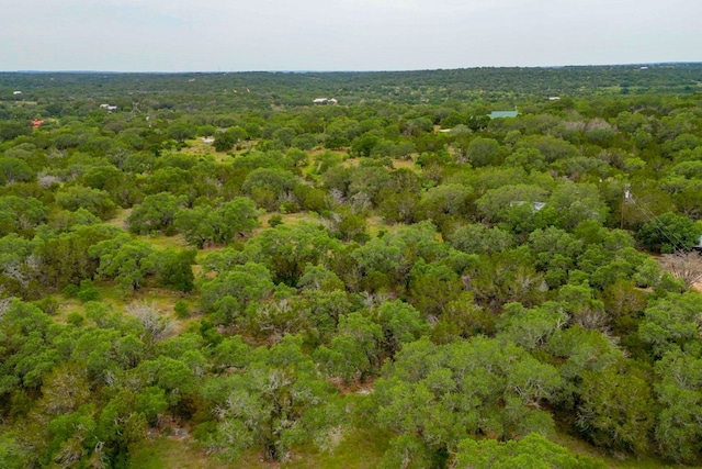 1365 Pedernales Hills Rd, Johnson City, TX 78636 - photo 22