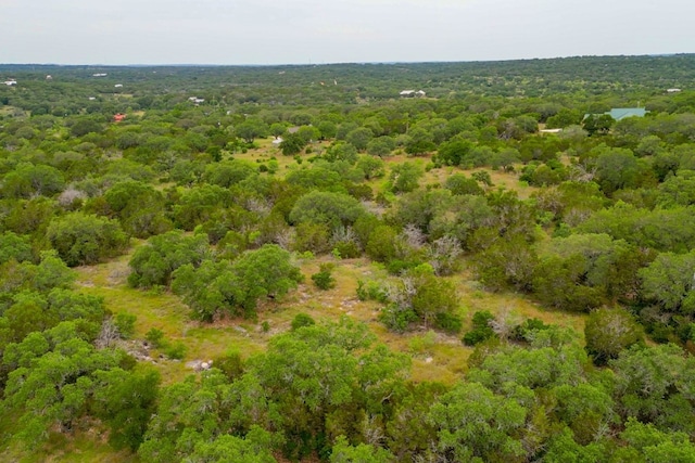 1365 Pedernales Hills Rd, Johnson City, TX 78636 - photo 23