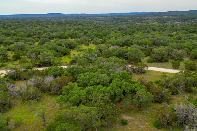 1365 Pedernales Hills Rd, Johnson City, TX 78636 - photo 24