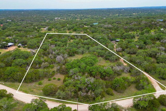 1365 Pedernales Hills Rd, Johnson City, TX 78636 - photo 6