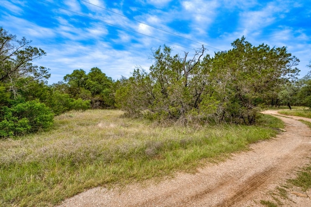 1365 Pedernales Hills Rd, Johnson City, TX 78636 - photo 9
