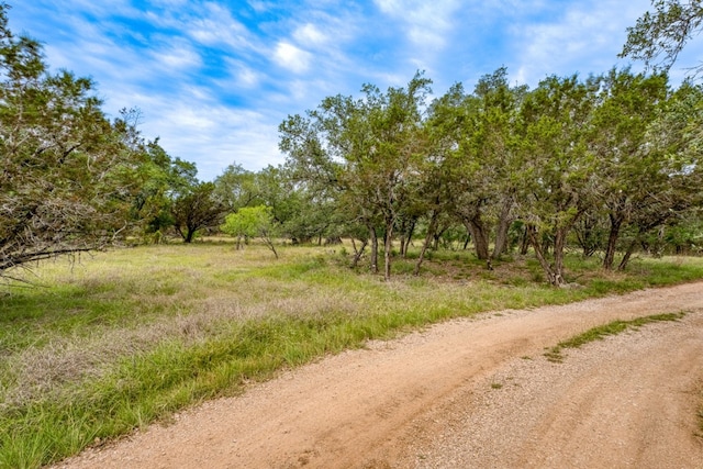 1365 Pedernales Hills Rd, Johnson City, TX 78636 - photo 10