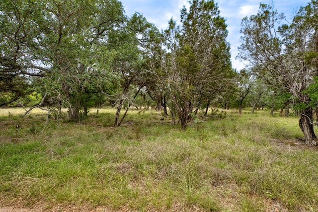 1365 Pedernales Hills Rd, Johnson City, TX 78636 - photo 11