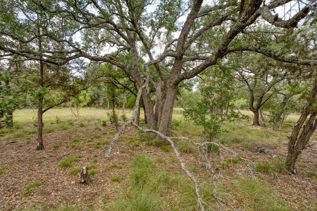 1365 Pedernales Hills Rd, Johnson City, TX 78636 - photo 12