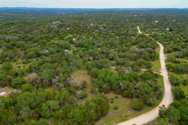 1365 Pedernales Hills Rd, Johnson City, TX 78636 - photo 13