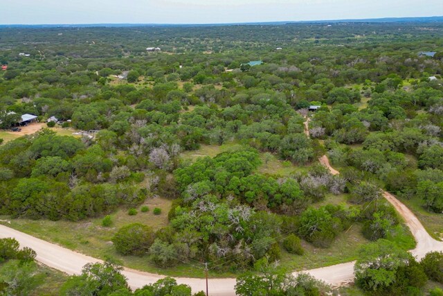 1365 Pedernales Hills Rd, Johnson City, TX 78636 - photo 14