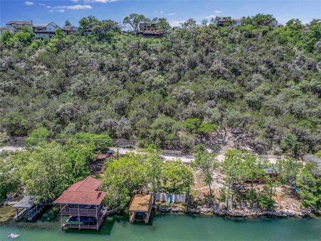 aerial view of a large body of water and a heavily wooded area