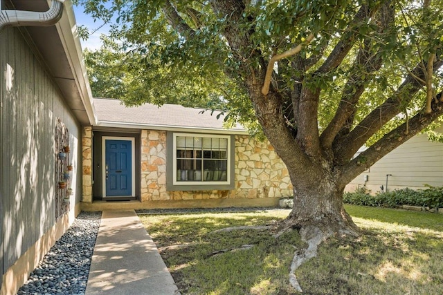 view of exterior entry featuring stone siding, a lawn, and roof with shingles