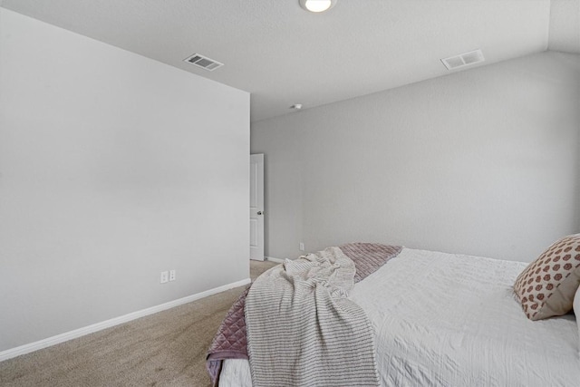 13921 Allan Shivers St, Manor, TX 78653 - carpeted bedroom with baseboards