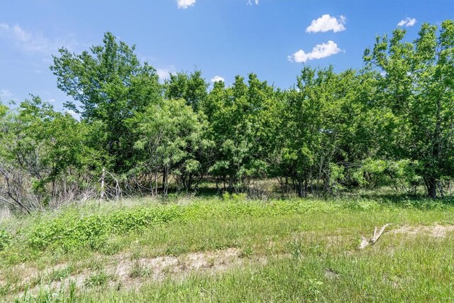 13921 Allan Shivers St, Manor, TX 78653 - photo 29