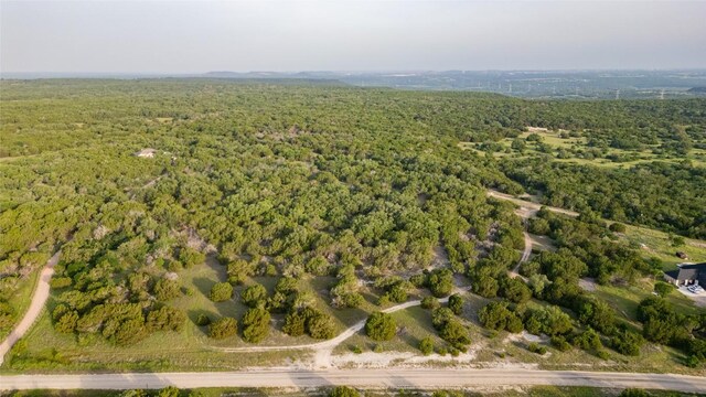 14274 Crows Ranch Rd, Salado, TX 76571 - photo 3