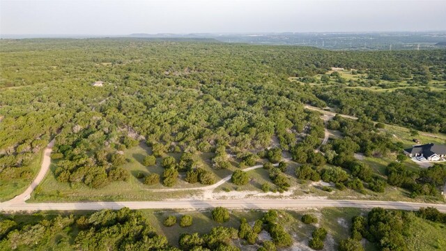 14274 Crows Ranch Rd, Salado, TX 76571 - photo 4