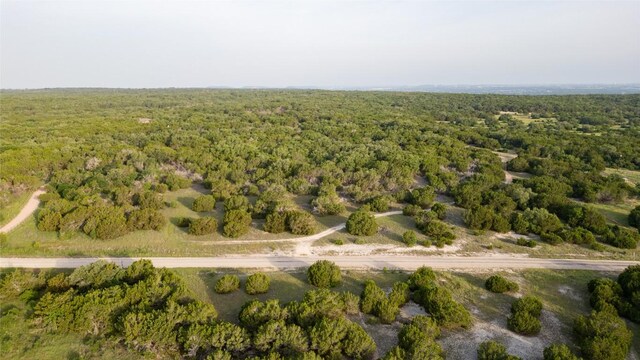 14274 Crows Ranch Rd, Salado, TX 76571 - photo 5
