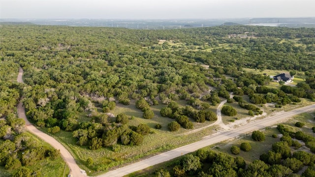 14274 Crows Ranch Rd, Salado, TX 76571 - photo 6