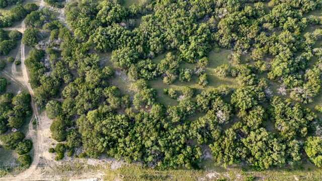 14274 Crows Ranch Rd, Salado, TX 76571 - photo 10
