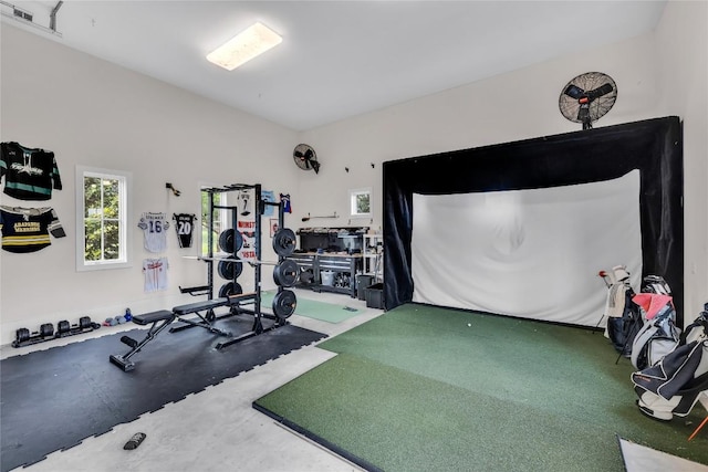 11705 Shoreview Overlook, Austin, TX 78732 - exercise area with golf simulator
