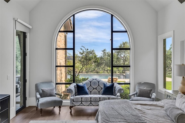 11705 Shoreview Overlook, Austin, TX 78732 - bedroom with multiple windows, wood finished floors, vaulted ceiling, and a baseboard radiator