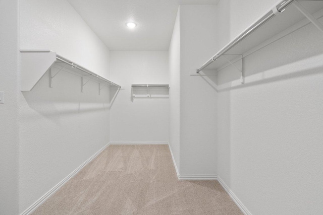 spacious closet with carpet flooring