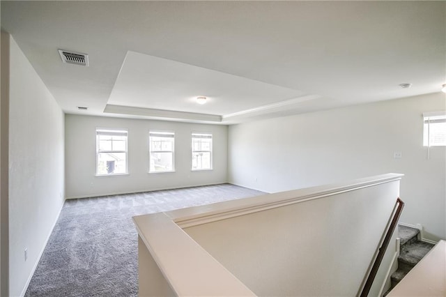 253 Beechnut Dr, Buda, TX 78610 - unfurnished room with carpet floors, a tray ceiling, and healthy amount of natural light
