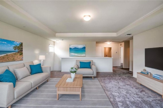 253 Beechnut Dr, Buda, TX 78610 - living area with a raised ceiling, crown molding, and carpet floors